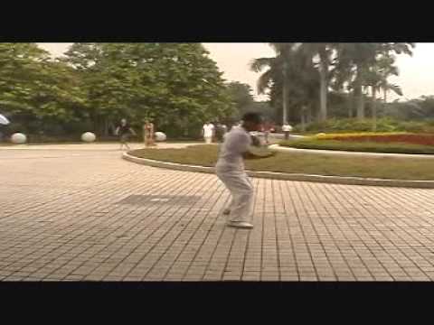 Sifu Pun Kwok Mun's Choy Lee Fut Sap Ji Lin Wan Ka...