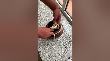 Save This Rope Trick For Your Home Garden | Home Hack #tips #diy