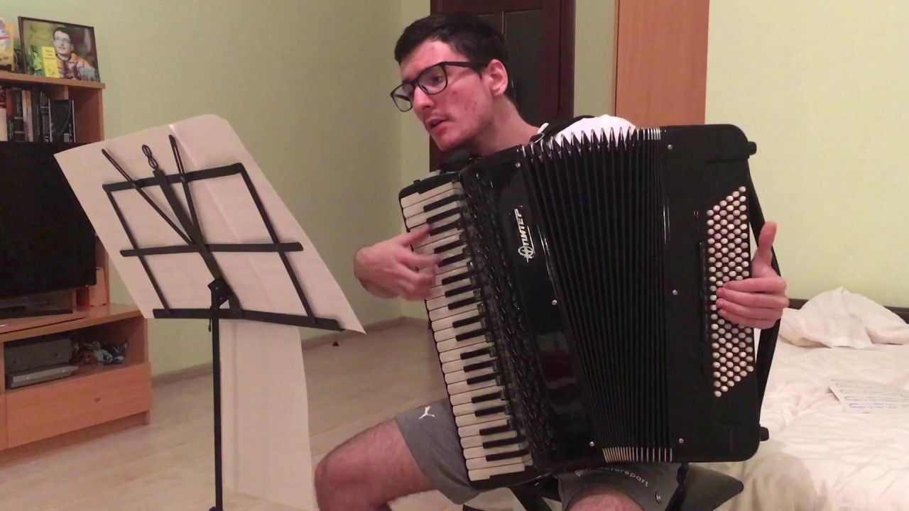 Steins;Gate 0 OP - Amadeus | Accordion Cover - YouTube