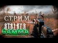 S.T.A.L.K.E.R. Gamma - Осенние приключения (часть 2)