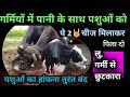 गर्मियों में पानी के साथ ये 2🤘चीज मिलाकर पिला दो👌लु,गर्मी से छुटकारा पशु का हांफना बंद 