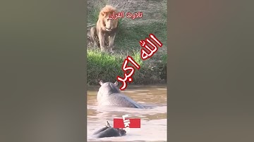 #القران_الكريم #الحنجرة_الذهبية #تلاوة_خاشعة #الشيخ محمود الشحات#قال ربی انی ظلمت#نفسی