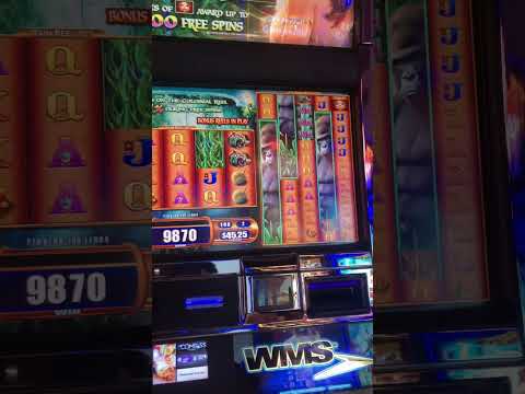 $500 Total into 5 Slots with $5 Spinning on Chumba Casino