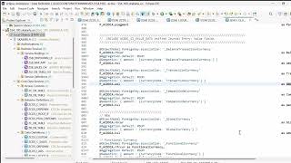 Custom Entity in RAP Part 1