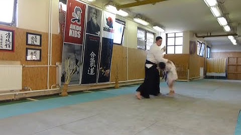 yokomen uchi uchi kaitennage [AIKIDO]  basic technique
