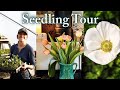 Spring seedling tour  jobs on the flower farm  harvesting tulips  more