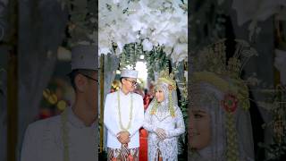 photo wedding dibawah pohon