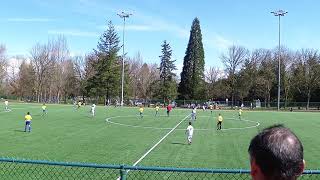 20190331 XF05B vs Calibri game3 PresCup3
