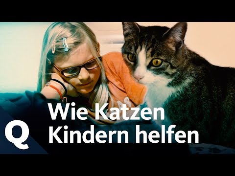 Video: Entwicklungsstörungen Des Rückenmarks Bei Katzen
