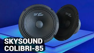 SKYLOR SKYSOUND COLIBRI SSC-85 / Обзор и сравнение СЧ динамиков до 3000 руб.