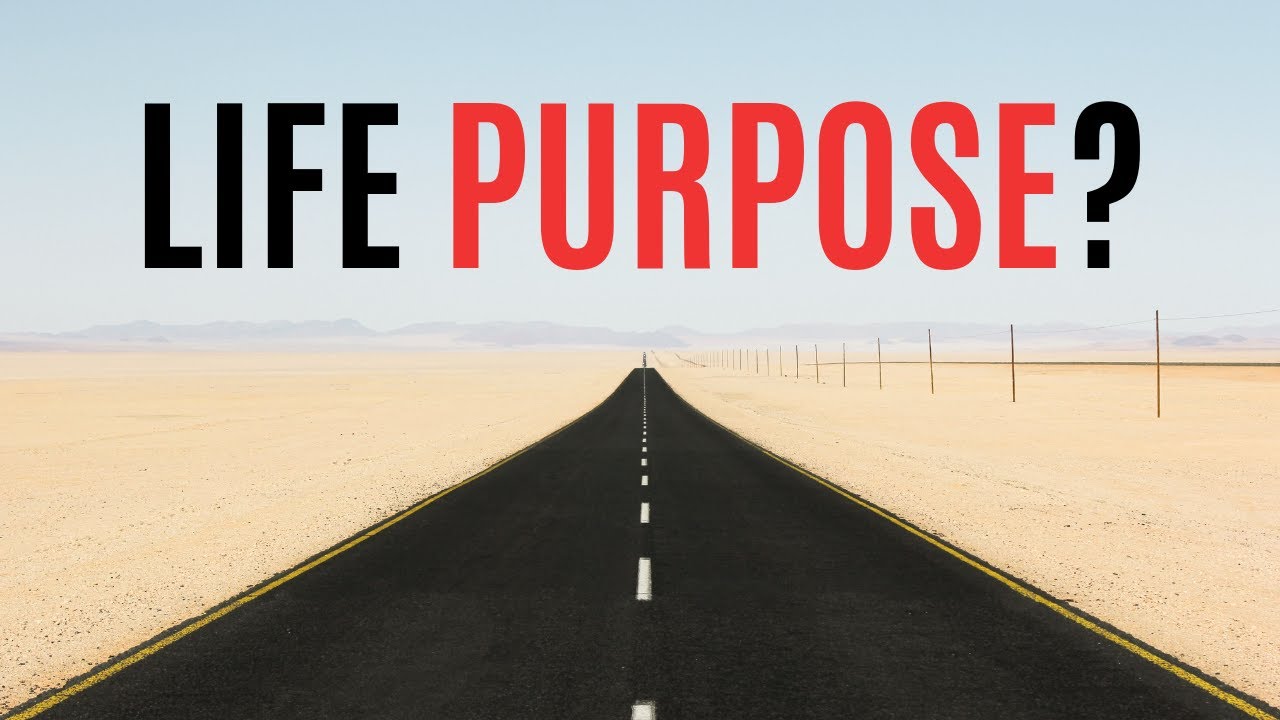 Purpose of life is