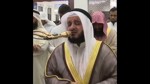 عندما يتلو القارئ من القلب - العفاسي 🎧💔 أجمل حالات واتس اب دينية مقاطع دينية قصيرة مقاطع انستقرام