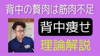 背中の贅肉は筋肉不足　理論解説