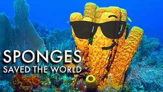 Earth's Most Unlikely Superhero (It's a Sponge)