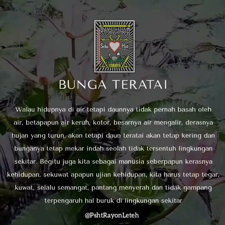 filosofi bunga terate #psht1922 #story #pshtindonesia #psht #storypsht #storywa #pshtrayonleteh