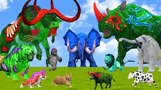 15 Giant Mammoth Elephant Cow vs Giant Indian Rhino 5 Giant Lion Tiger Cub Saved By Woolly Mammoth