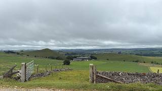 Bronze Dofe Vlog