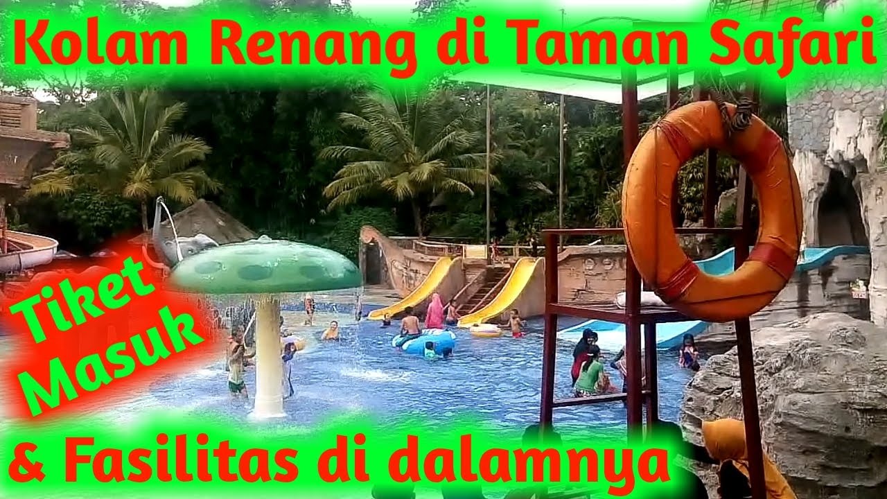 gambar kolam renang taman safari prigen