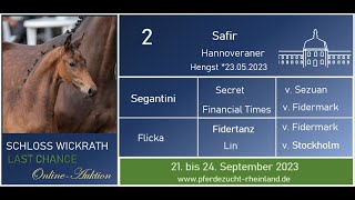 Lot Nr. 2 Safir v. Segantini - Fidertanz