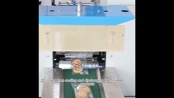How To Use ZS-ZB250S Horizontal Flow Wrapping Machine