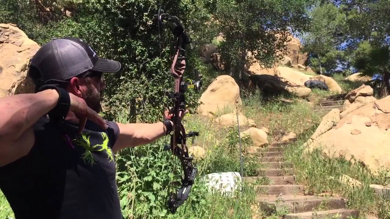 Joe rogan archery
