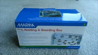 Marina Hang On Holding And Breeding Box Setup Guide