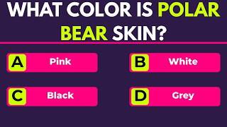 Can You Pass This Fast-Paced Trivia Quiz? (95% Fail!) 🧠