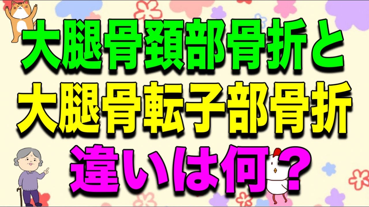 大腿骨頚部骨折、転子部骨折の違いは何？を解説！