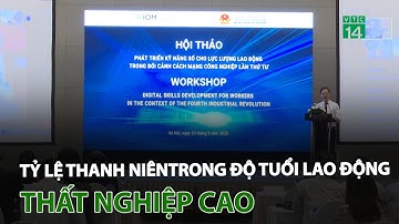 Việt Nam có tỷ lệ thanh niên thất nghiệp cao trong độ tuổi lao động | VTC14