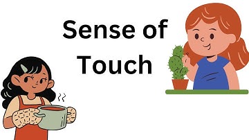 Sense of touch | Five Senses | kids science | Sense of touch for kindergarten