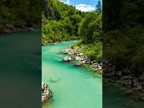 سيدنا يونس يناجى ربه فى بطن الحوت وظلمة الليل والبحر تلاوة مباركة للقارئ الشيخ وليد الأزهرى