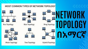Network Topologies Explained | Bus, Star, Ring, Mesh, Tree & Hybrid | Networking Basics in Amharic