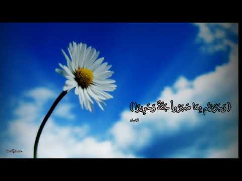 نشيد ويمضي الهم