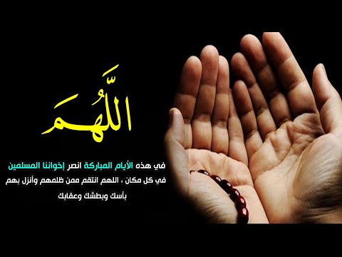 نشيد حزين جدا البرد يقتلني ويقتل إخوتي للمنشد عبد الله المهداوي والمنشد معاذ الفضلي 2022