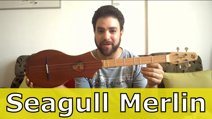 Seagull Merlin Guitar Test Drive (Improv + Explana...