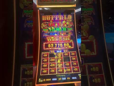 mohegan sun and casino | 1st Live Roulette Ever from Seminole Hard Rock Hollywood! $1K Bets!!