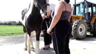V030610_13.42[01].AVI