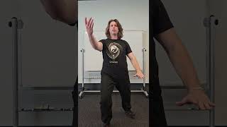 Yang Style Taiji Quan Part the Wild Horse&#39;s Mane instruction