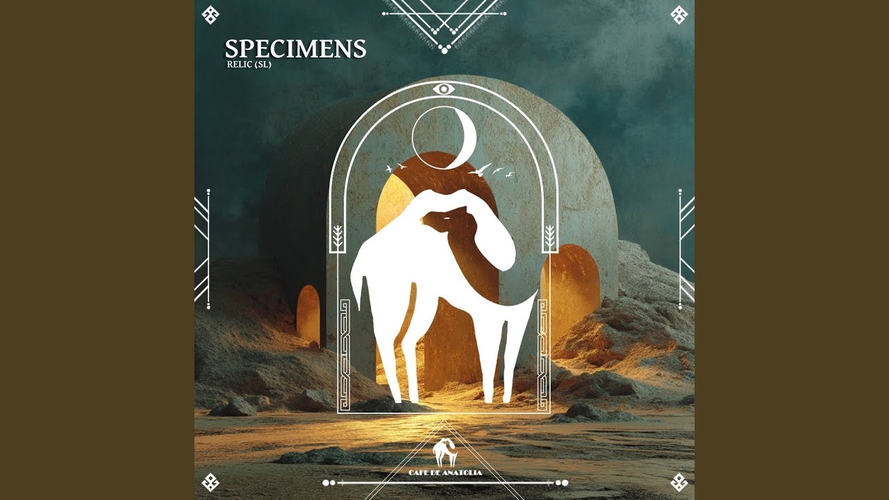 Specimens adlı videoyu YouTube'da izle Specimens adlı videoyu YouTube'da izle
