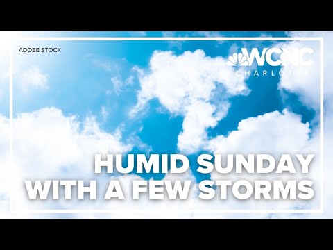 Forecast: Humid Sunday with a few storms - YouTube