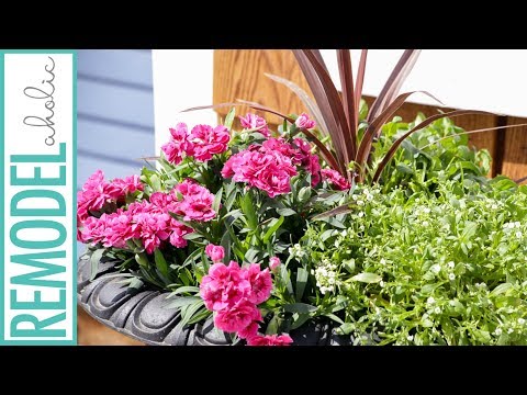 Planting A Garden Vase In 3 Easy Steps