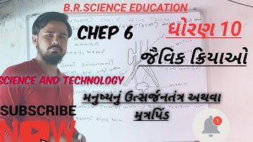 STD 10  CHEP 6 JAIVIK KRIYAO ||  જૈવિક ક્રિયાઓ || મનુષ્યનું ઉત્સર્જનતંત્ર મૂત્રપિંડ BHARAT BHAI SIR