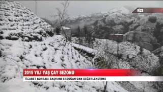 Mehmet Erdoğan Çay