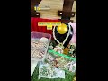 Live Stream of multi collection