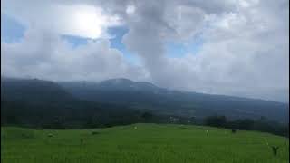 Malino Highland In Makassar , Indonesia 2023 05 01 At 14 13 22