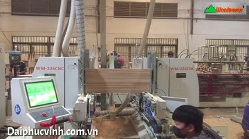 Mộng dương 2 đầu 6 dao, phay một lần 3 cây năng suất X3 | Woodmaster |