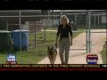 K-9 SOLDIERS NEED HOMES -- ADOPT A RETIRED MILITARY WORKING DOG!