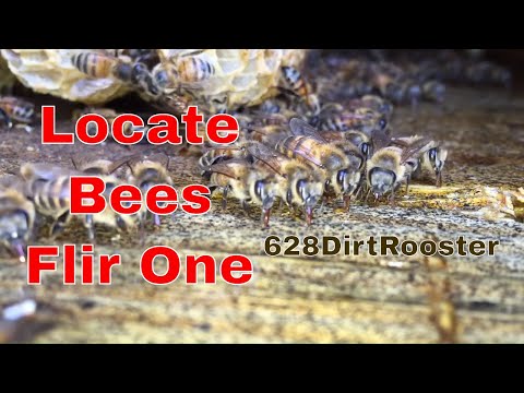 Locate A Honey Bee Hive With A FLIR ONE Thermal Camera for ios