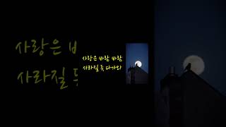 사랑은 바람 바람    #shorts #음악 #국내발라드모음 #노래 #가요모음 #트로트 #대중가요연주 #미스터트롯2