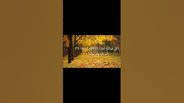 سورة الاخلاص|| حسام الدين عبادي